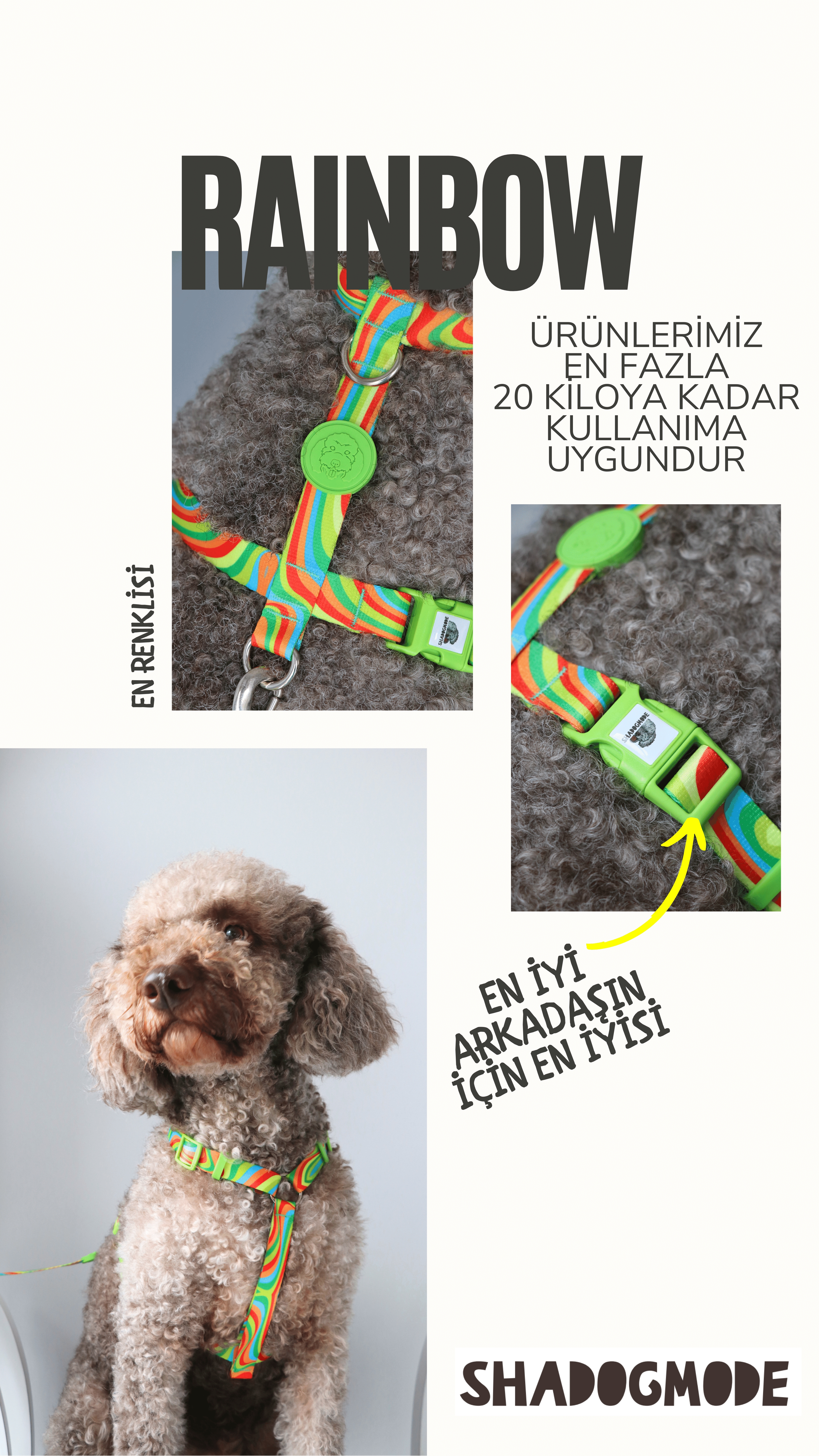 RAINBOW TASMA SETİ