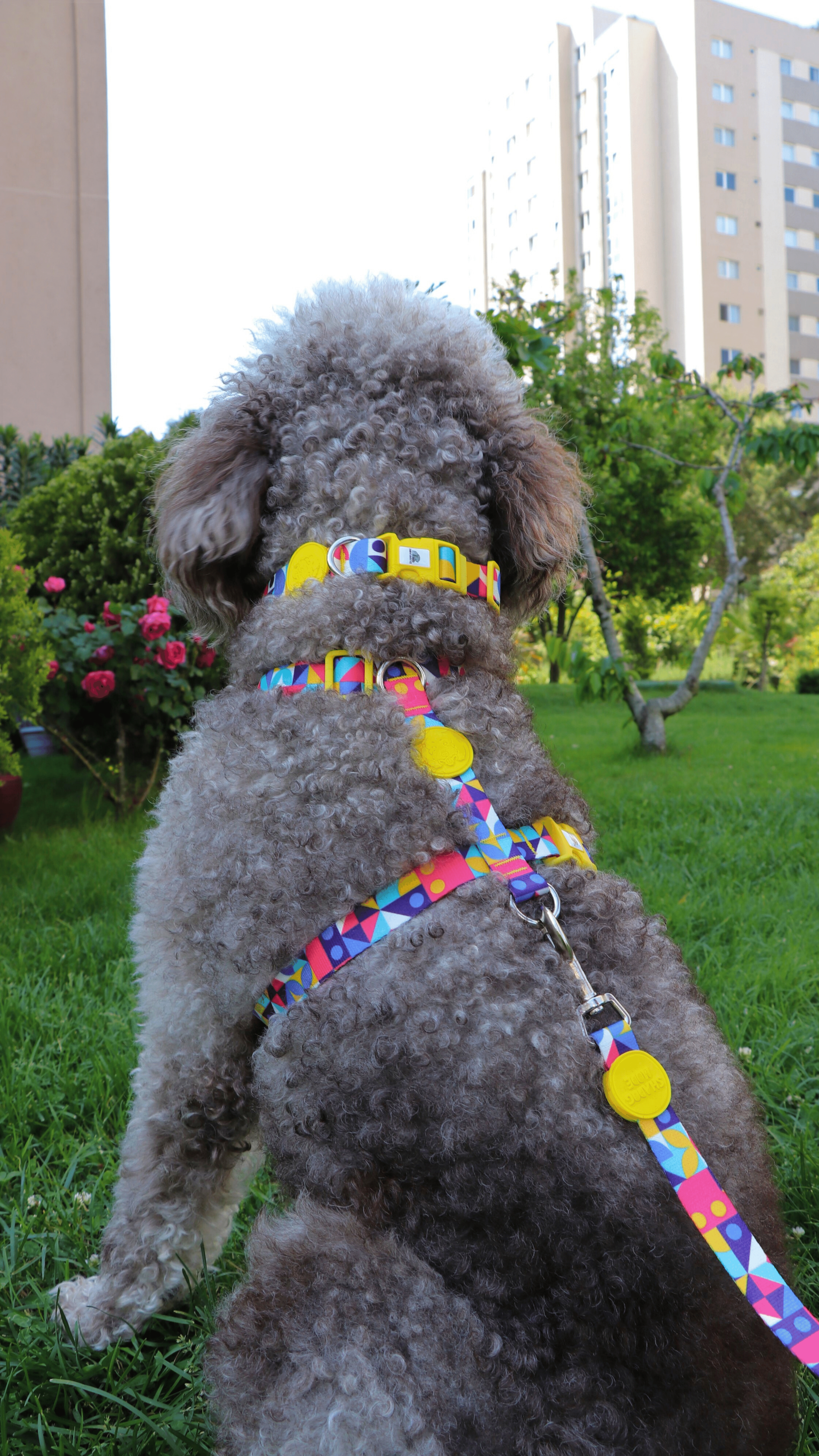 COLOURFUL GÖĞÜS TASMASI