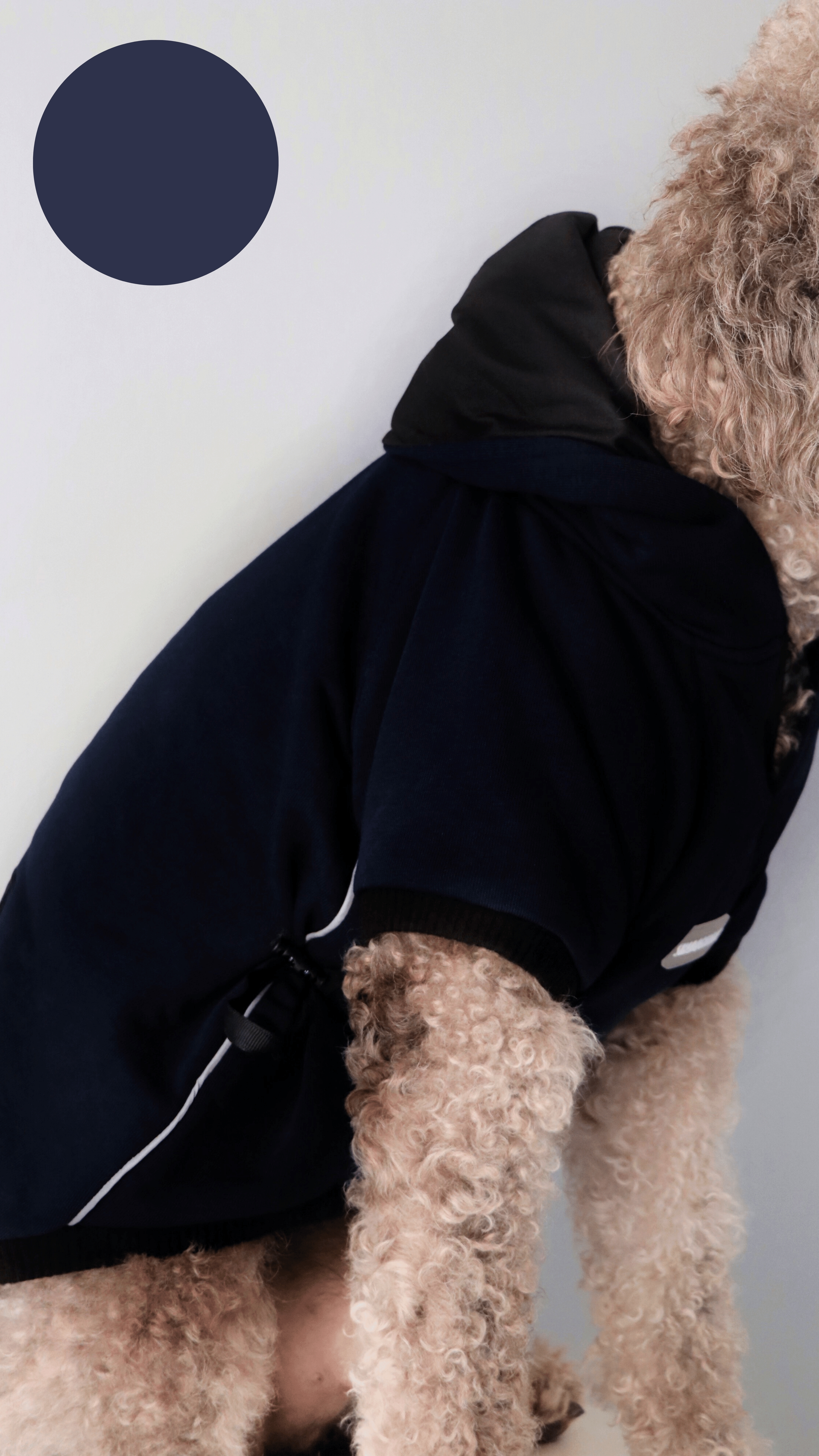 NAVYBLUEBLACK HOODIE