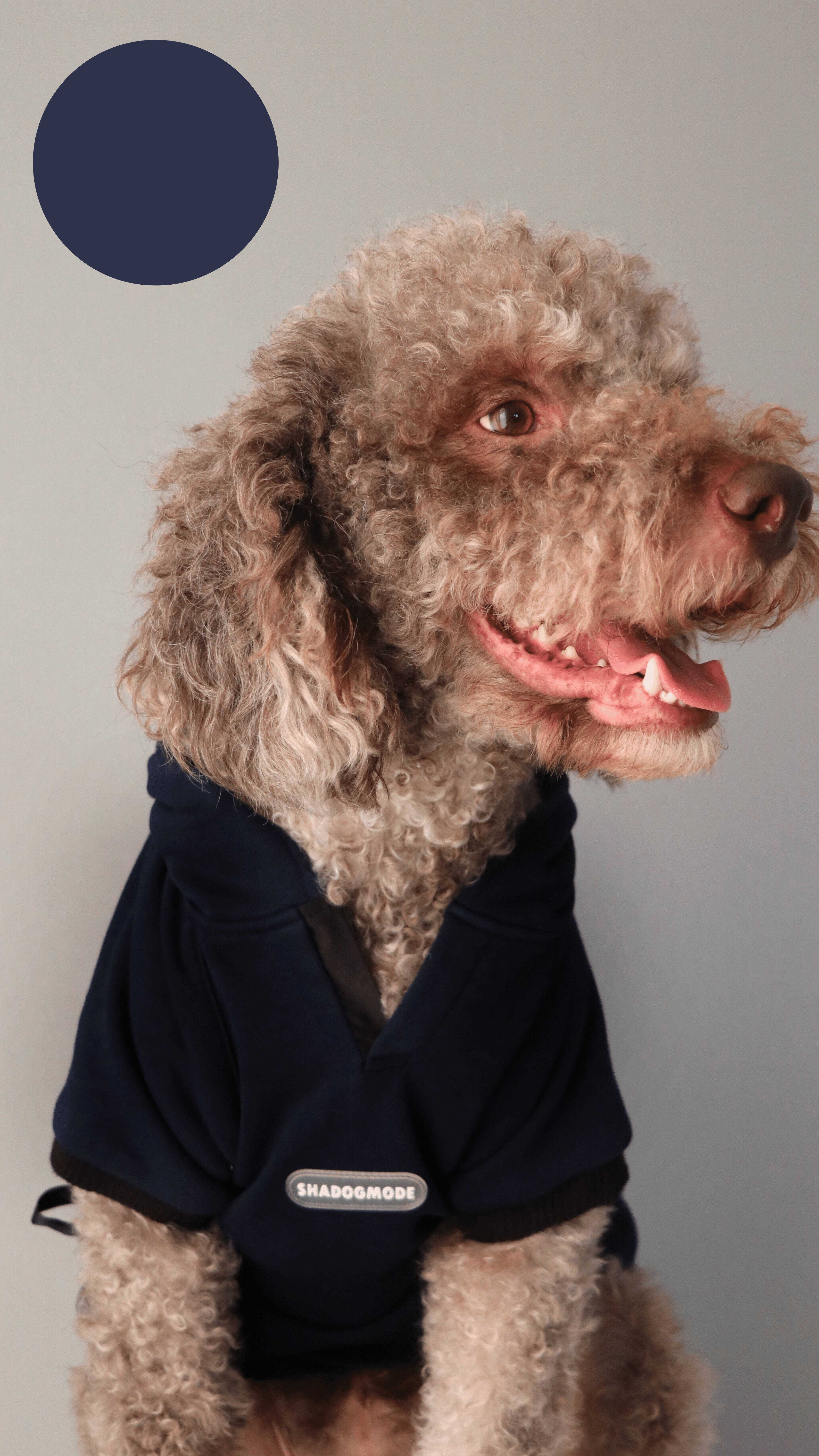 NAVYBLUEBLACK HOODIE