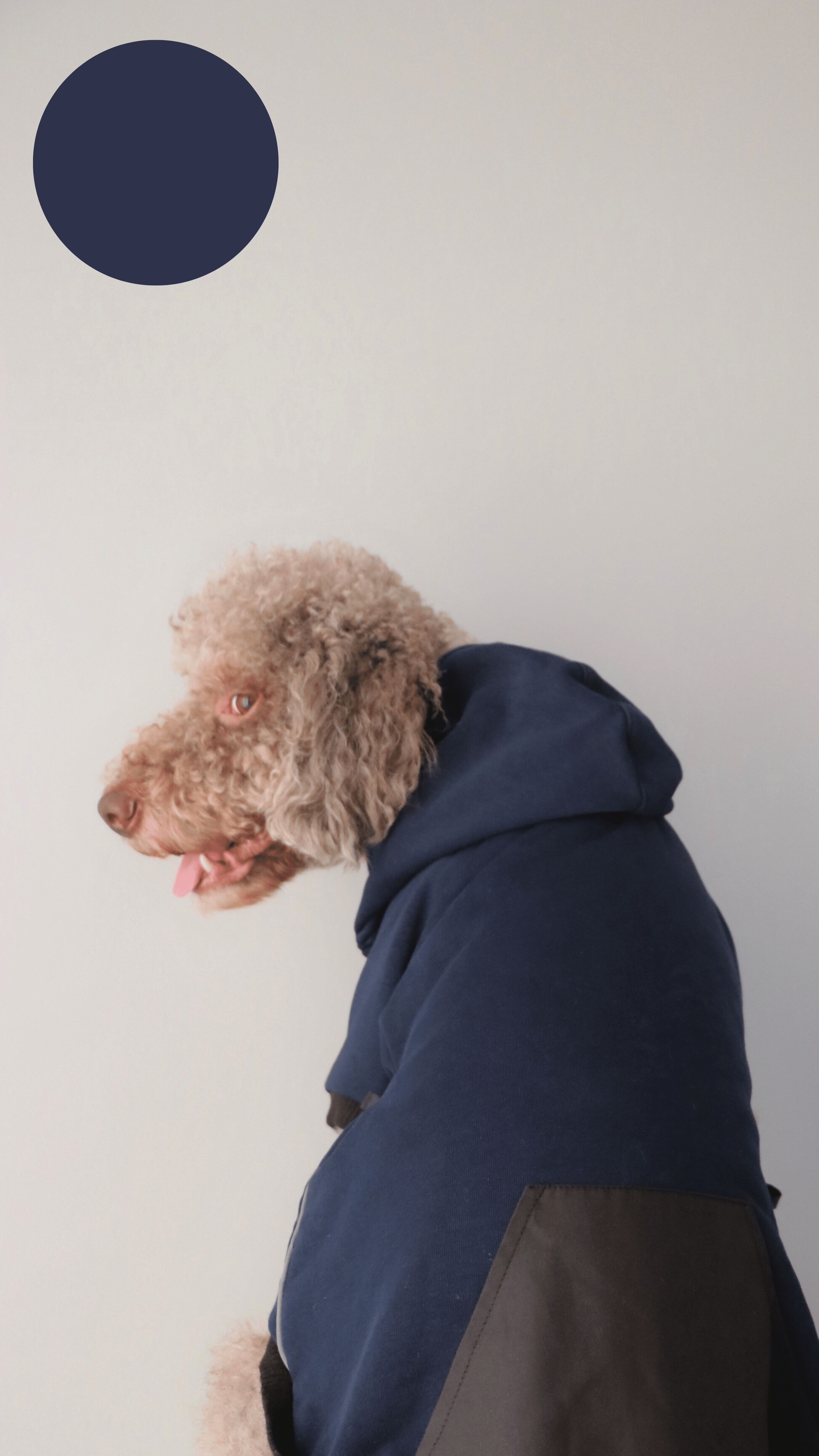 NAVYBLUEBLACK HOODIE