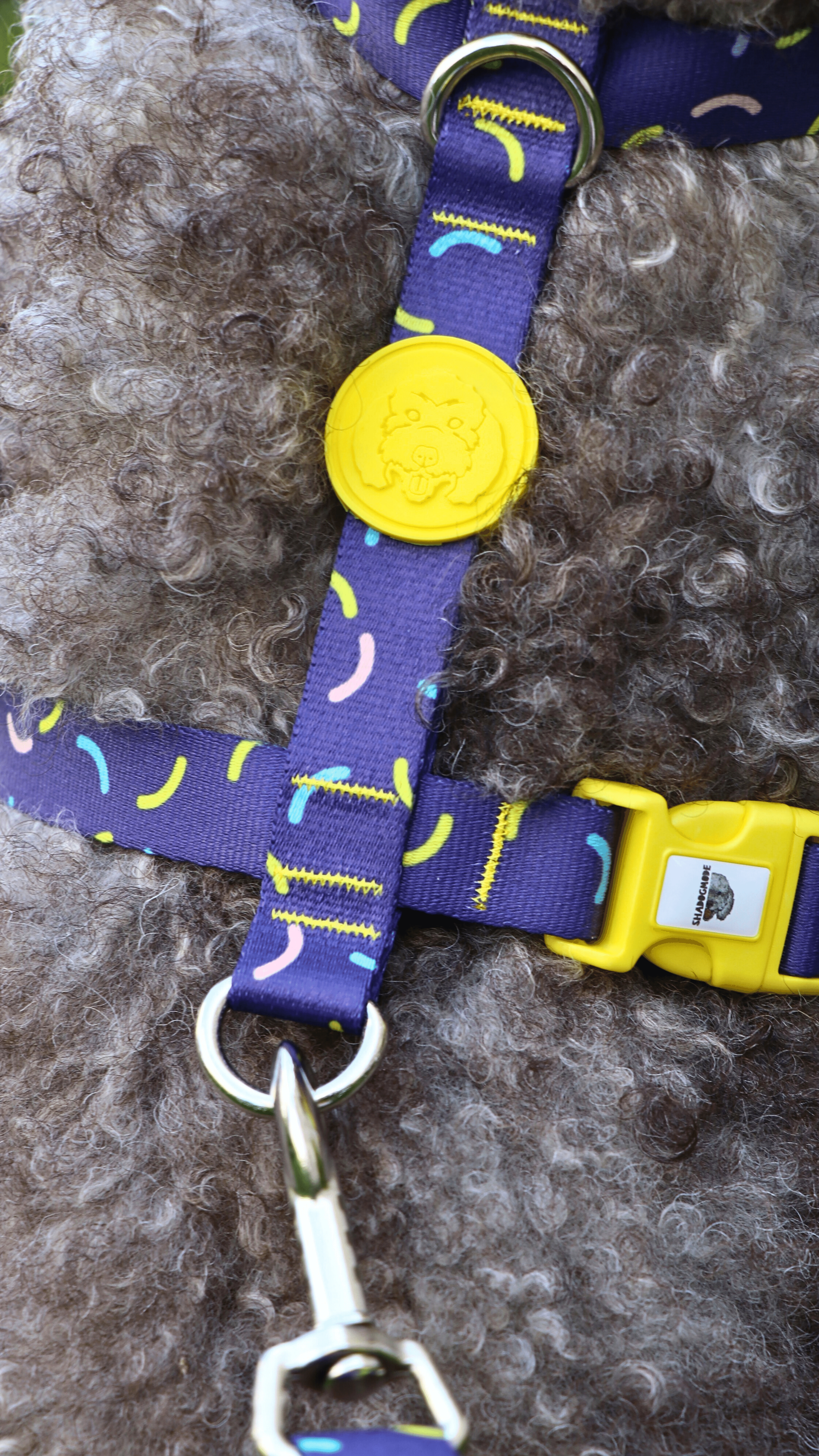 PURPLE TASMA SETİ