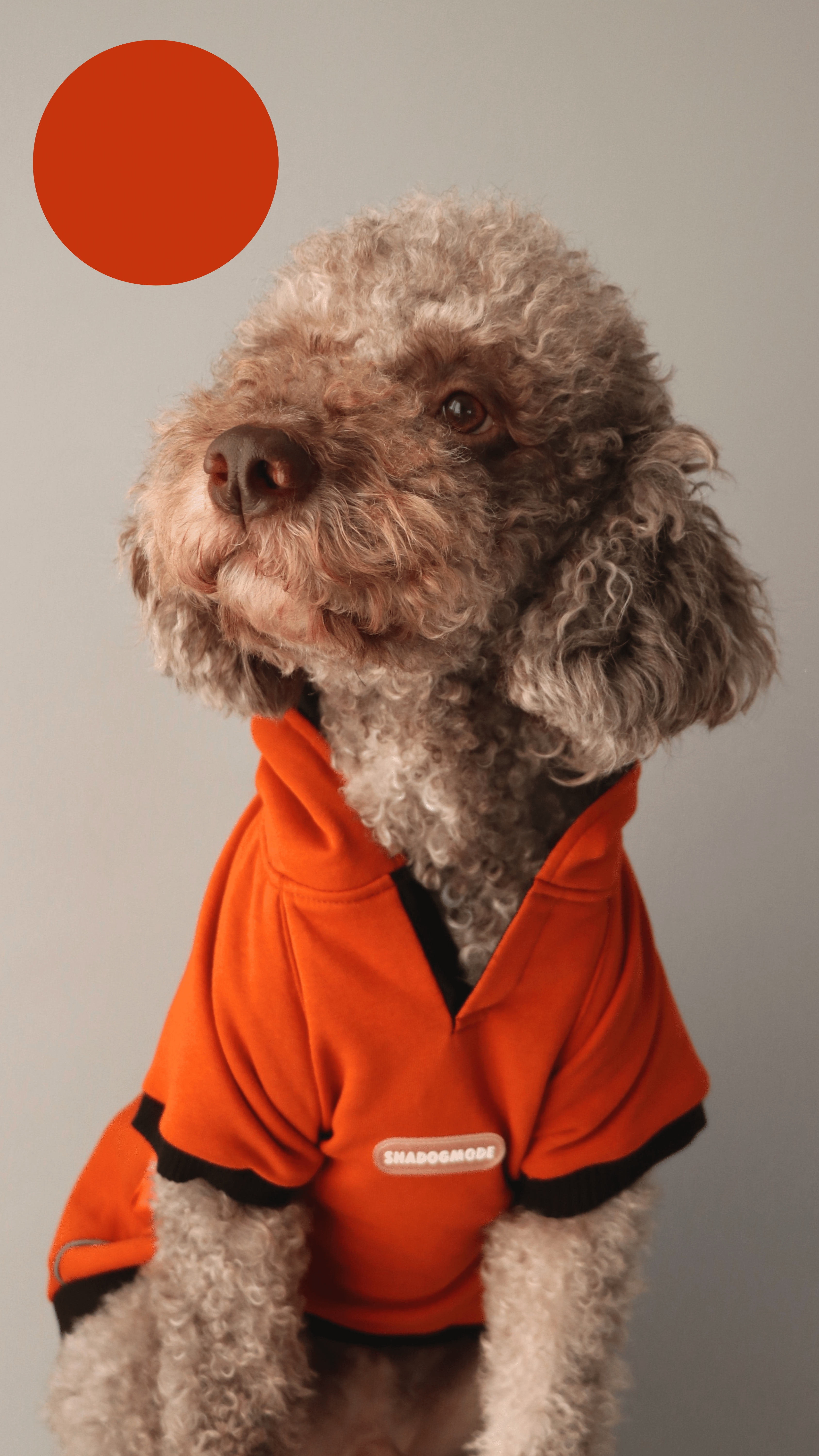 ORANGEBLACK HOODIE