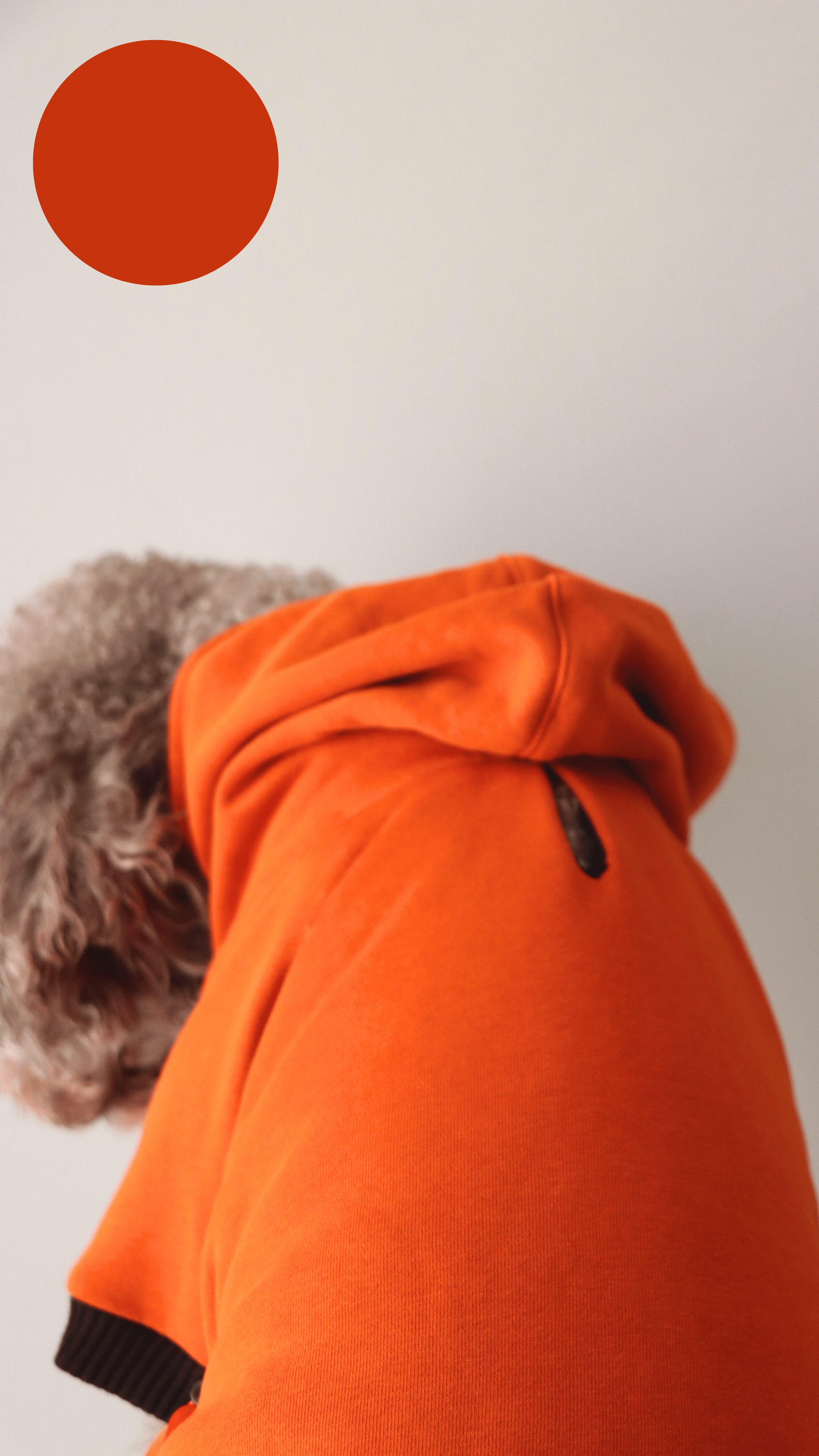 ORANGEBLACK HOODIE