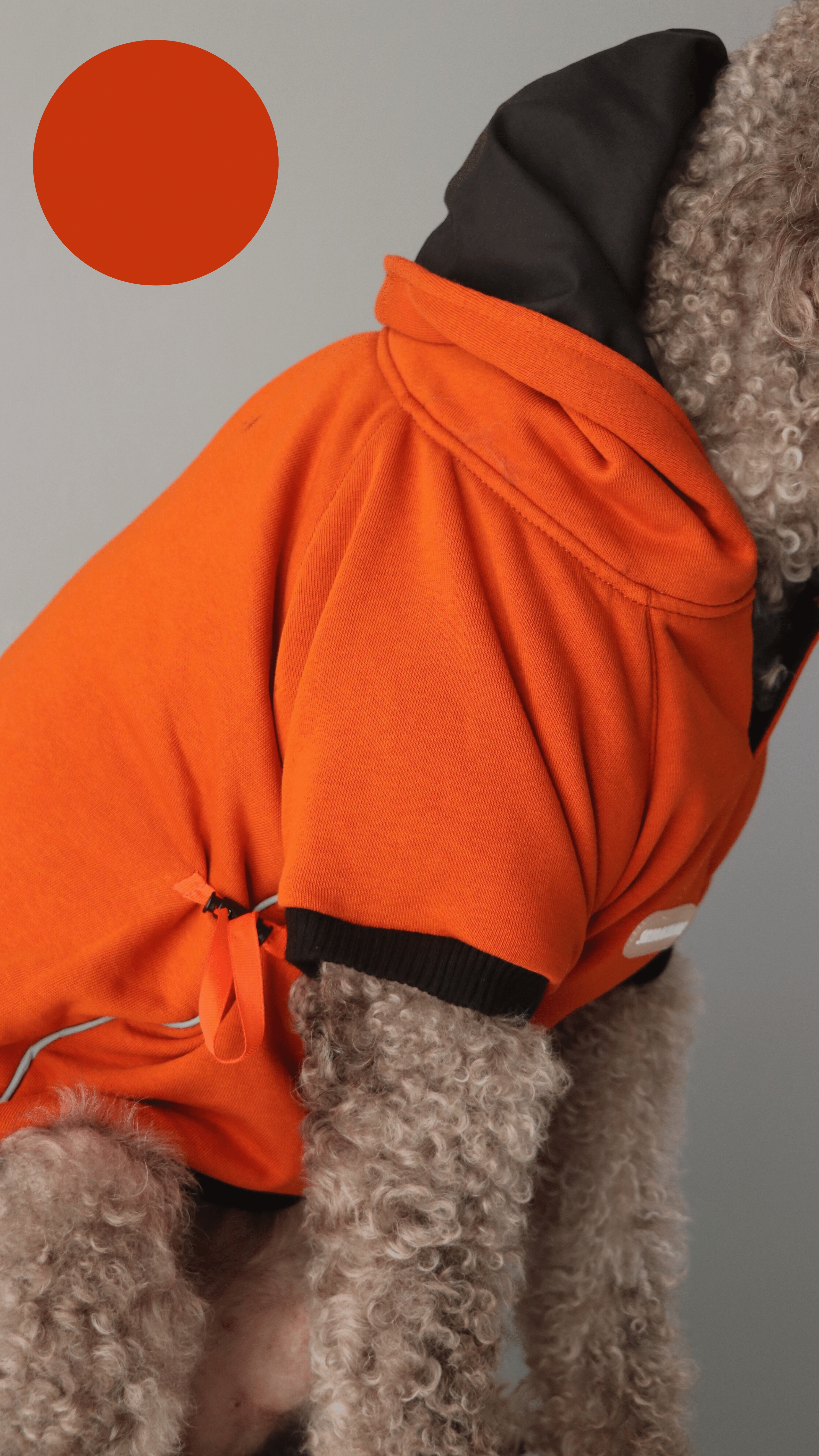 ORANGEBLACK HOODIE