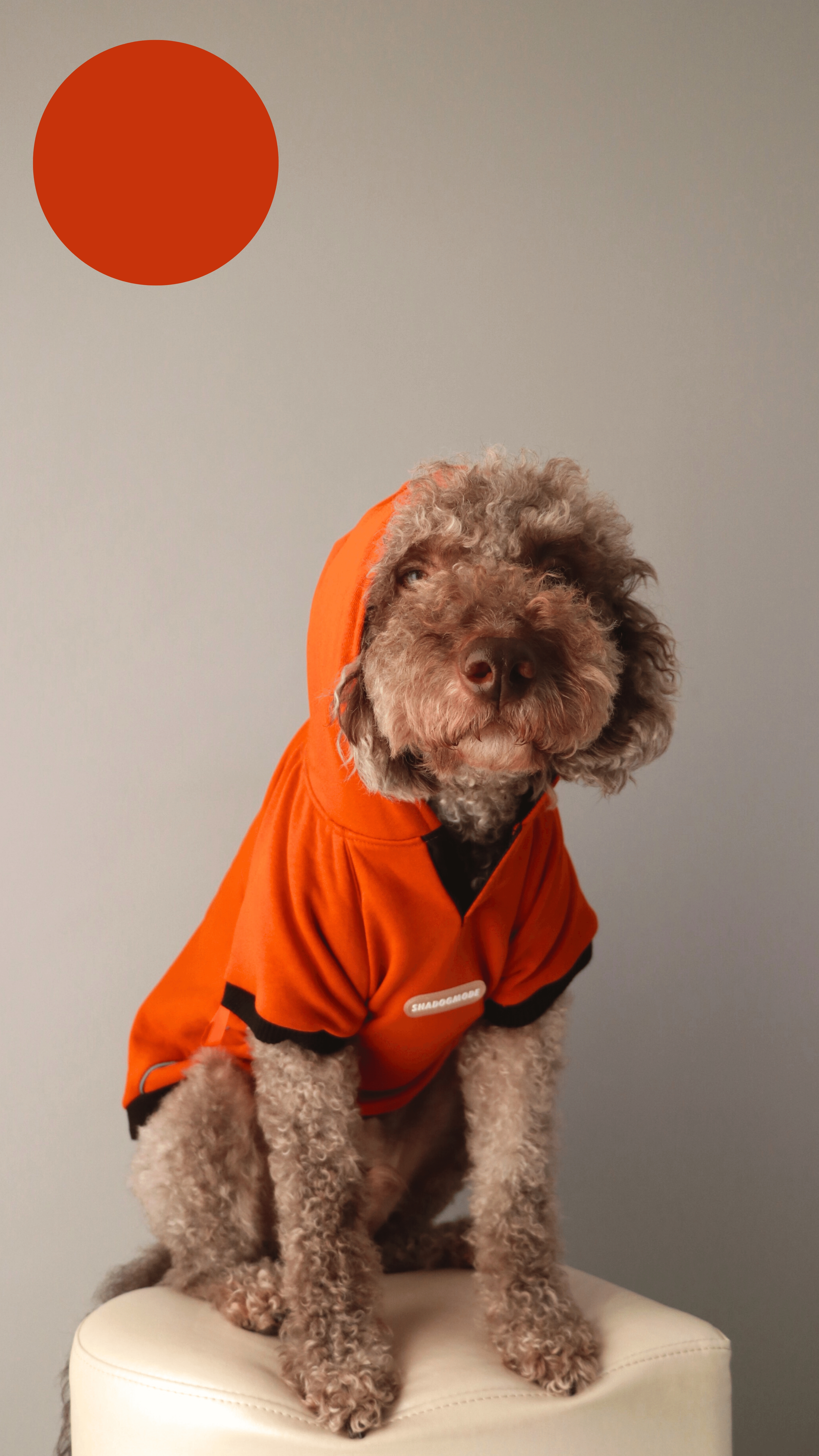 ORANGEBLACK HOODIE