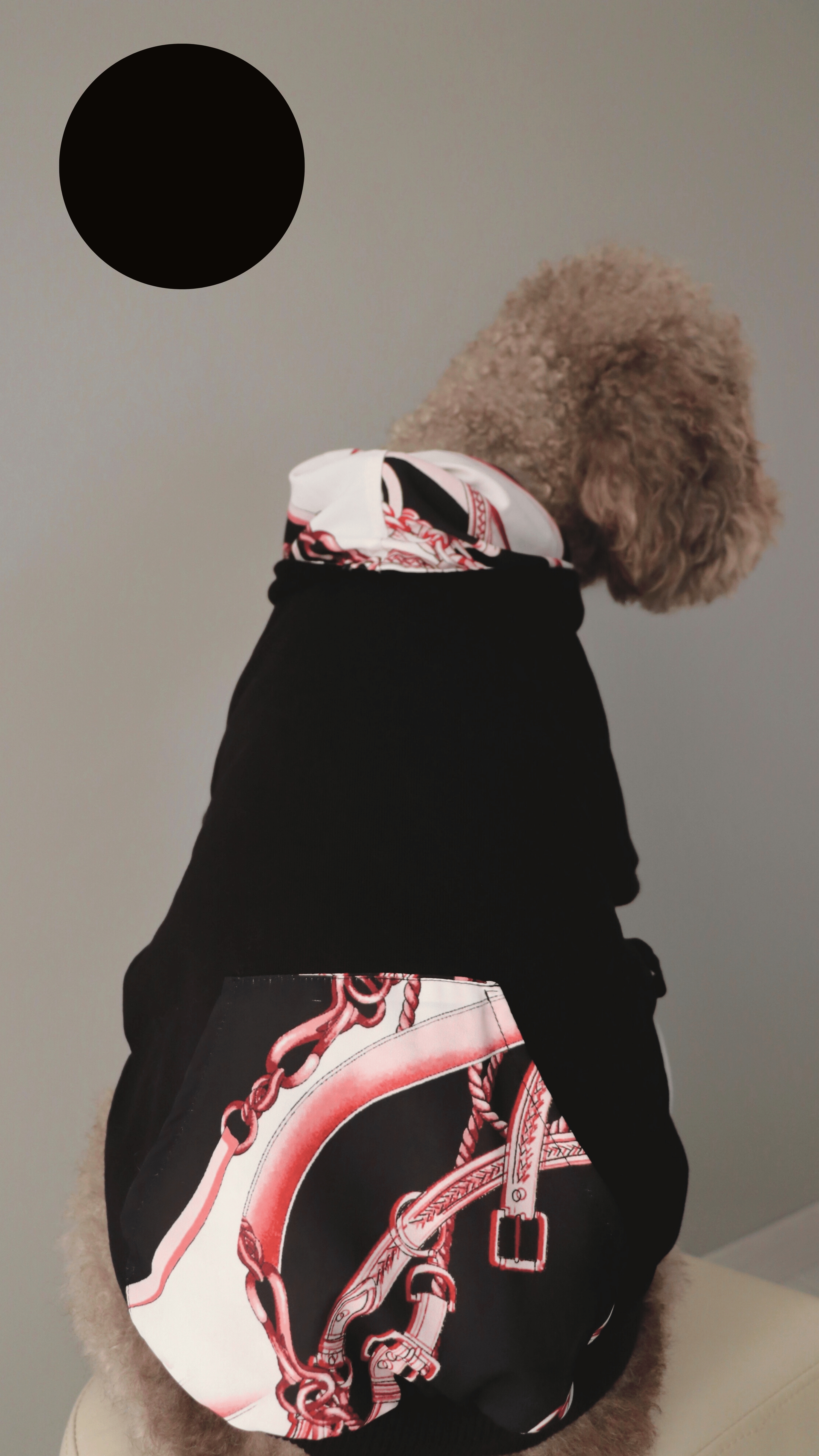 BLACKRED HOODIE