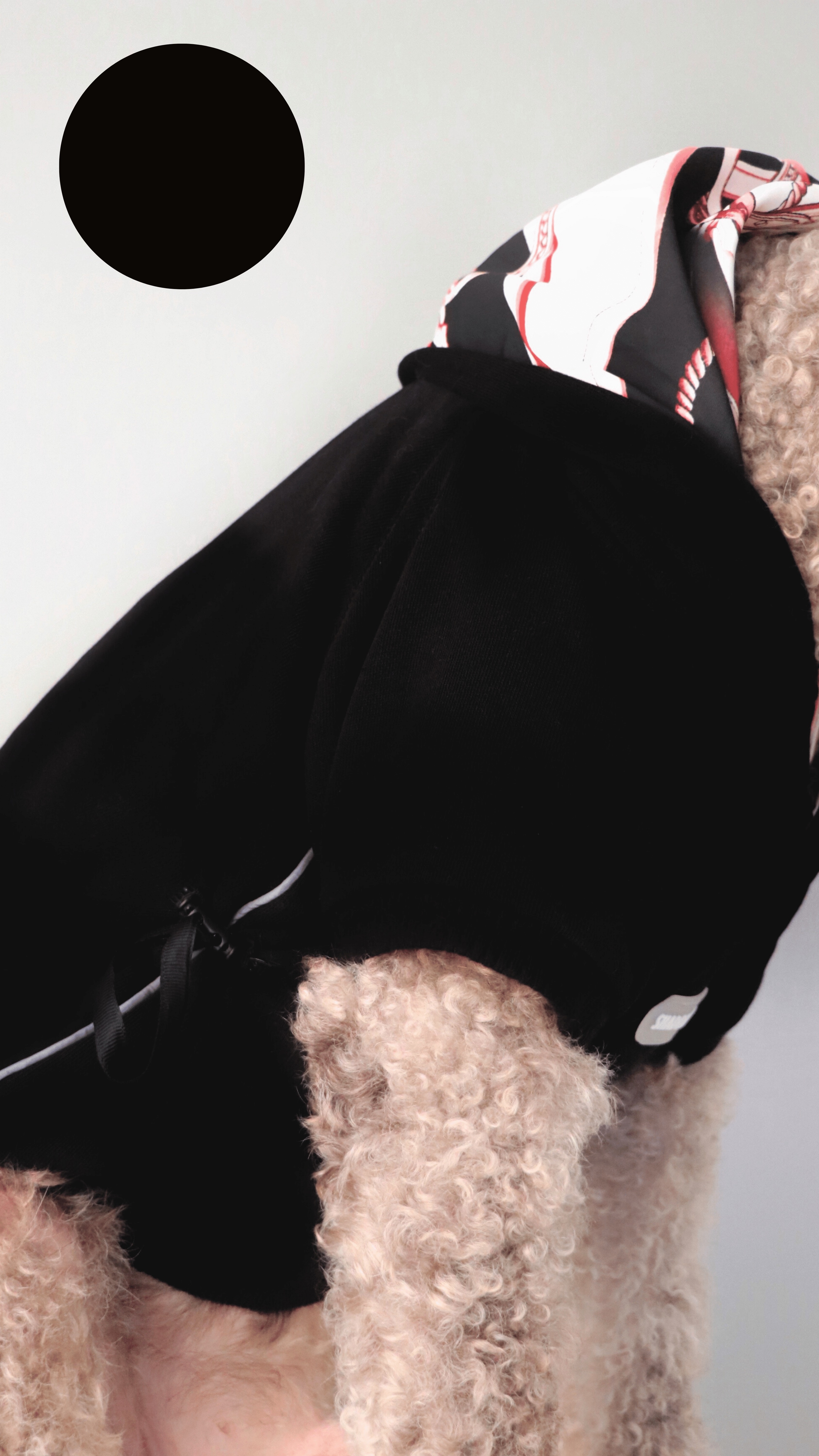 BLACKRED HOODIE